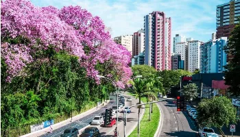 Saiba o que abre e fecha em Maringá nesta sexta (15), feriado de Proclamação da República