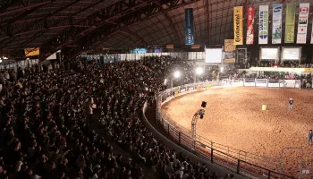 Dois dias de rodeio marcam o encerramento da Expoingá 2024 