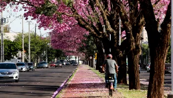 Construção de ciclovia na avenida Mário Clapier Urbinati deve começar nos próximos dias 
