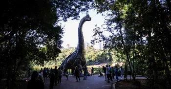 Sucesso de público, exposição ‘Jurássico Condor’ já levou mais de 87 mil visitantes ao Parque do Ingá 