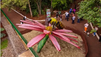 Exposição "Primavera Encantada" recebe mais de 18 mil visitantes no primeiro fim de semana 