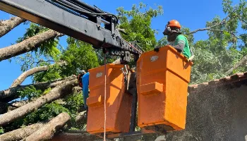 Quase 7 mil residências continuam sem energia elétrica em Maringá 