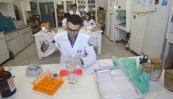 Universidades estaduais do Paraná conquistam nota máxima no Enade 