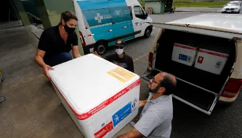 Regionais da Saúde do PR começam a receber os primeiros lotes de vacina contra a gripe 