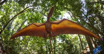 Exposição ‘Jurássico Condor’, no Parque do Ingá, é prorrogada 