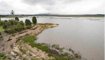 Com menos chuva em fevereiro, Paraná reforça pedido para economia de água 