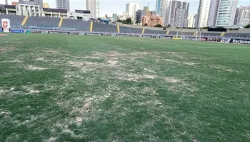 Prefeitura de Maringá realiza manutenção no gramado do Estádio Willie Davids