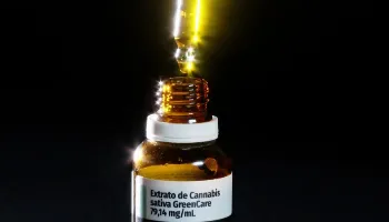 Anvisa amplia o uso da cannabis medicinal no país; saiba mais 