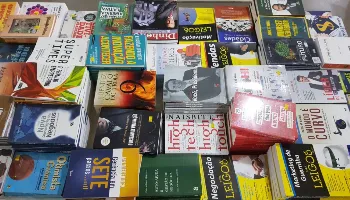 Passado e futuro da literatura estão presentes na Festa Literária Internacional de Maringá 