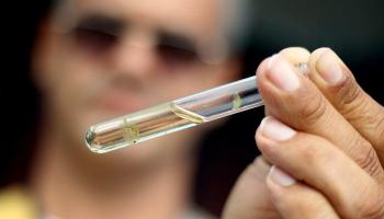 Dengue soma 852 casos desde agosto no Paraná 