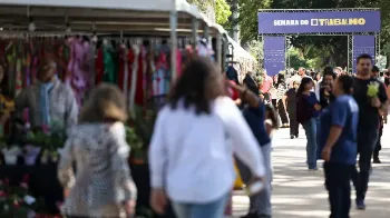 Taxa de desemprego do 3º trimestre é a menor para o período desde 2012, mostra IBGE 