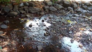 Estiagem se agrava e aumenta risco de rodízio no Oeste e Sudoeste Estiagem se agrava e aumenta risco de rodízio no Oeste e Sudoeste