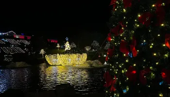 Decorações da Maringá Encantada iluminam o Centro e o Parque do Japão; veja fotos 
