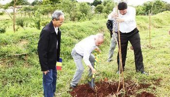 Plantio de mudas no Parque Makiguti abre Semana do Rio. Veja programação. 