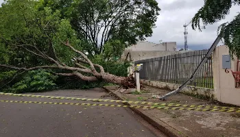 Em apenas um dia chove metade do previsto para todo o mês em Maringá; tempestade deixou estragos 