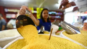 Número de pessoas empregadas no Brasil ultrapassa 100 milhões, informa IBGE Número de pessoas empregadas no Brasil ultrapassa 100 milhões, informa IBGE