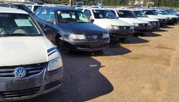 Período de lances no leilão do governo estadual começa na segunda (21)
