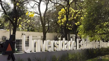 UEM é a melhor universidade estadual da região Sul e a quinta do país, aponta ranking da Folha 