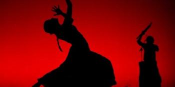 Y el Flamenco sigue! 