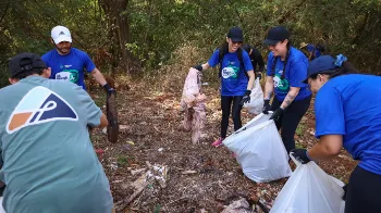 Dia Mundial da Limpeza acontece em 24 pontos de Maringá neste sábado (19) 