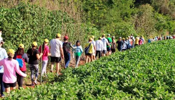 Caminhadas na Natureza: confira a programação de turismo rural em julho Caminhadas na Natureza: confira a programação de turismo rural em julho