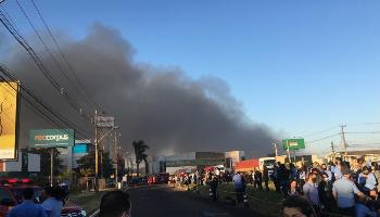 Avenida Fashion se preparava para lançar nova coleção 