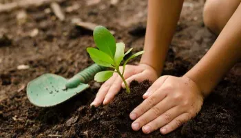 Dia da Árvore: Shopping Catuaí de Maringá realiza distribuição de mudas e adubo orgânico 