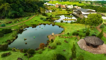 ‘Semana da Imigração Japonesa’ começa nesta quinta (15), em Maringá 