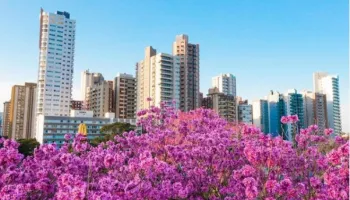Prefeitura de Maringá permite realização de eventos com até 200 pessoas 