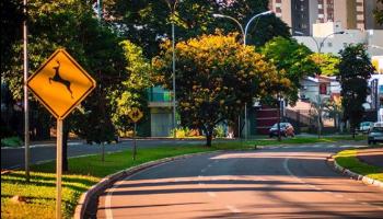 'Dia Mundial sem Carro' promove conscientização sobre os impactos da poluição no transporte 'Dia Mundial sem Carro' promove conscientização sobre os impactos da poluição no transporte