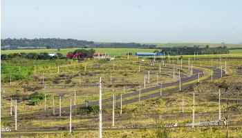 Nova licitação colocará 50 lotes à venda no Parque Industrial 