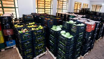Prefeitura inicia distribuição de alimentos adquiridos da agricultura familiar 