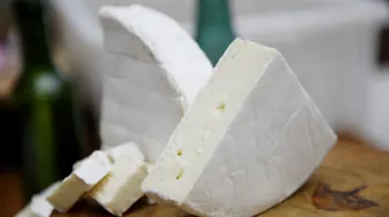 Queijo produzido no Paraná está entre os 10 melhores do mundo 