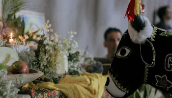 Anjos da Guarda, grupo folclórico de Bumba Meu Boi, promove ritual de ‘morte do boi’ em Maringá 