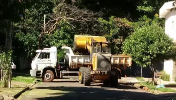 Prefeitura já recolheu 1,5 mil toneladas de galhos e troncos; força-tarefa continua 
