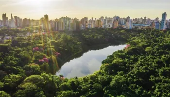 Noite das Mariposas: Parque do Ingá terá passeio com observação noturna 