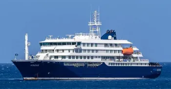 Saiba o que é hantavírus, doença responsável por três óbitos em cruzeiro no Oceano Atlântico 