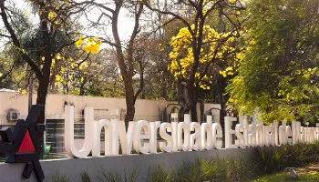 UEM oferta mais de 650 vagas pelo Sisu; saiba como concorrer 