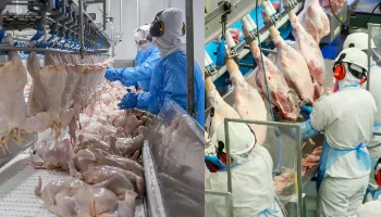 Marco histórico: Paraná atinge 2 milhões de toneladas de proteínas exportadas em apenas um ano 