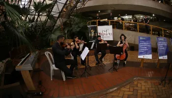 Programação do ‘Mês da Música’ começa neste domingo (18), em Maringá; saiba mais 