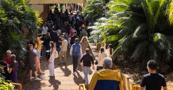 UEM divulga gabarito do Vestibular de Inverno 2026; saiba como consultar 