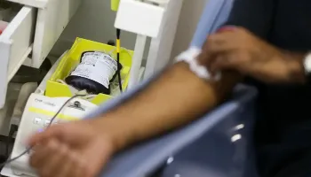 Hemocentros alertam sobre redução de doações de sangue no fim de ano 
