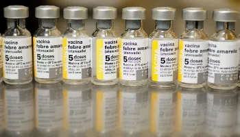 Paraná não registra casos locais de febre amarela há seis anos, de acordo com a Sesa 
