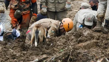Número de mortos em Petrópolis chega a 120 