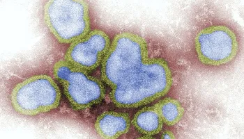 Secretaria de Saúde declara epidemia de H3N2 no Paraná 