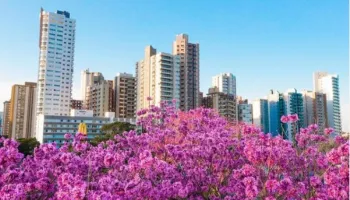 Novo decreto flexibiliza medidas restritivas em Maringá; toque de recolher segue em vigor 