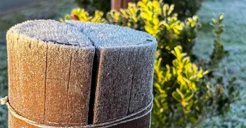Paraná registra temperaturas negativas na manhã desta quarta (17) 