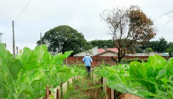 Maringá tem nova horta comunitária localizada no Jardim São Clemente 