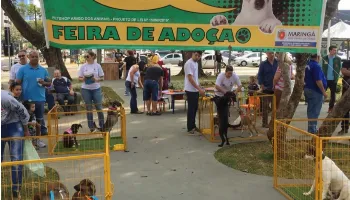 Feirinha de adoção em homenagem à protetora maringaense é realizada neste sábado (13) 