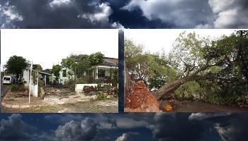 Chuva e ventos de até 128 km/h causam estragos em Maringá 
